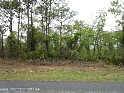 11065 Jackdaw Rd, Weeki Wachee, FL, 34614