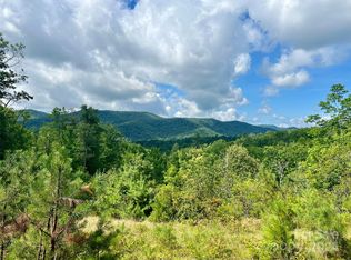 667 Laurel Thicket, Brevard, NC 28712