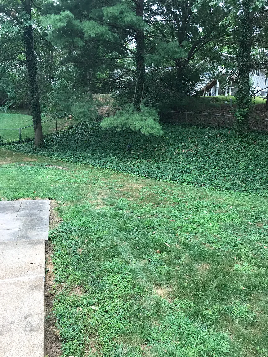 152 Tortuna Dr photo 1
