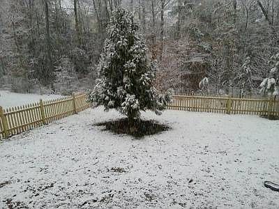 2nd image of 10522 Gallant Fox Way