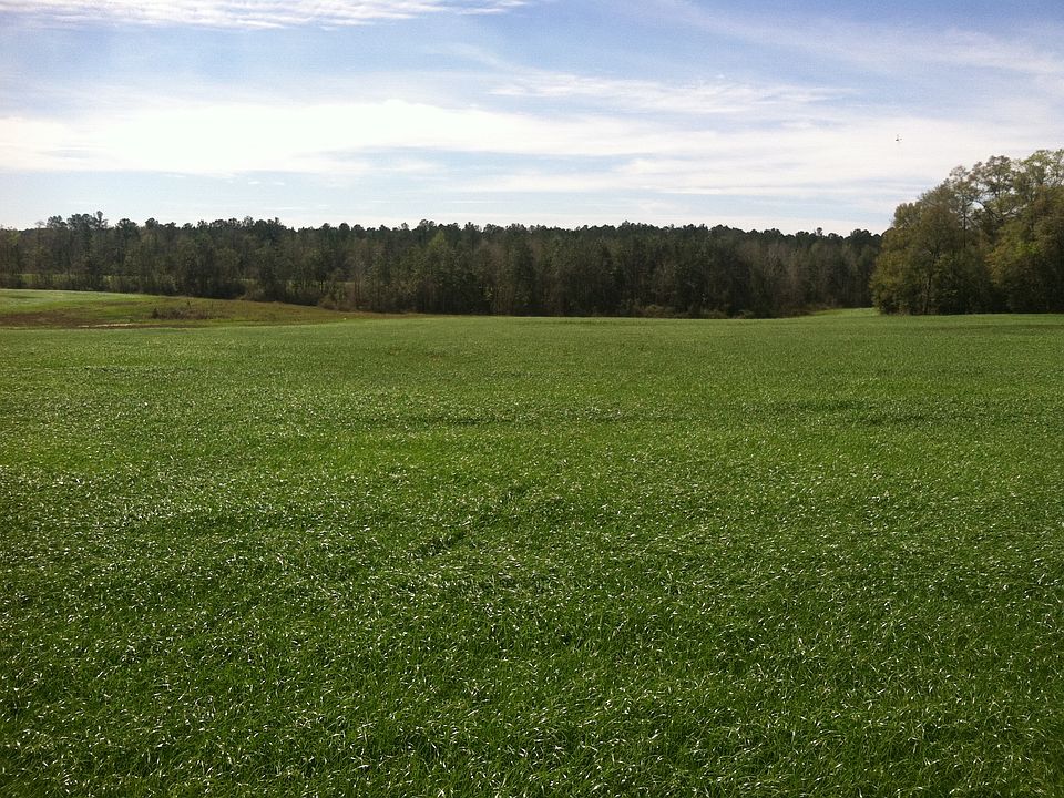 N looking S. 3-11-17