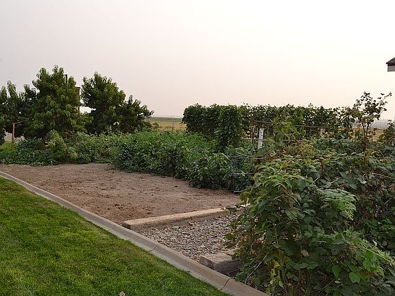 Mature Garden 