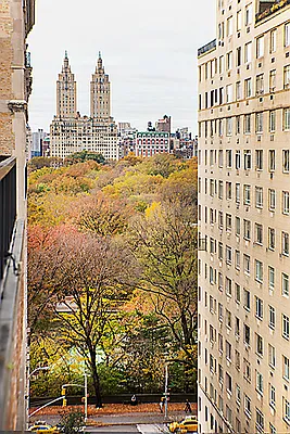 Sold by Bold New York | media 5