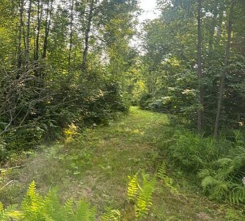 5th image of 36502 County Road 129