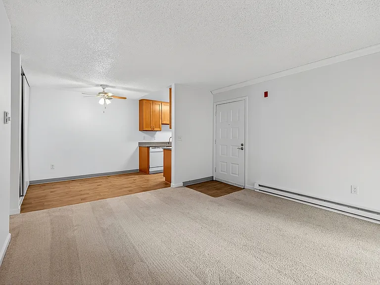 Timberwood — Photo 17