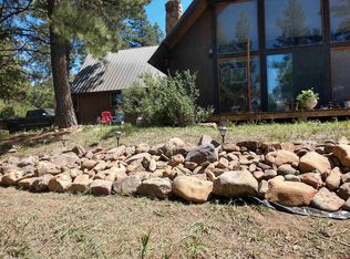 163 Dyke Blvd, Pagosa Springs, CO 81147