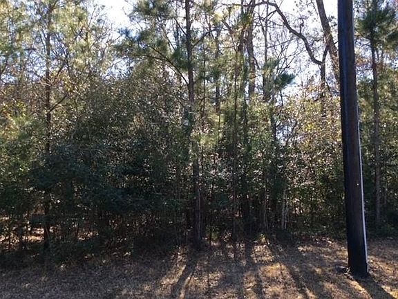 5th image of 16719 Mustang Trail Dr