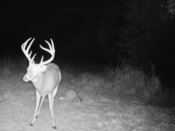 4th image of 0 Xavier Rd