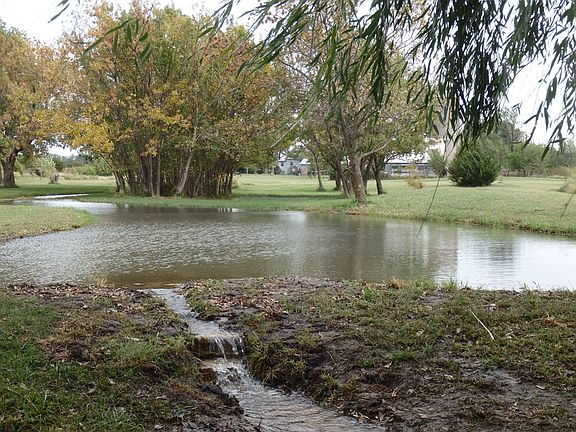View looking towards the house
						:
						Spring fed flow's through the property . Lots of Trees ,Deer ,Turkey, Pheasants