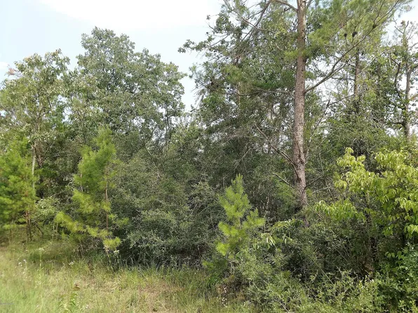 0 NW Lake Lillian Rd, Fountain, FL 32438