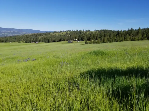 49 Old Ranch House Rd, Republic, WA 99166