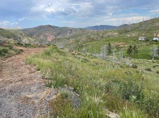 1400 Meadow Mountain Dr, Livermore, CO 80536