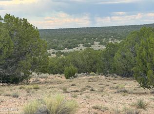 171 E Witch Wl, Saint Johns, AZ 85936