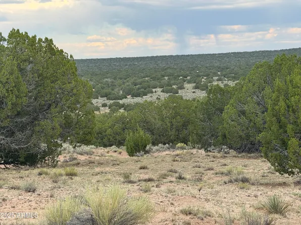 171 E Witch Well Ranches -- #171, St Johns, AZ 85936