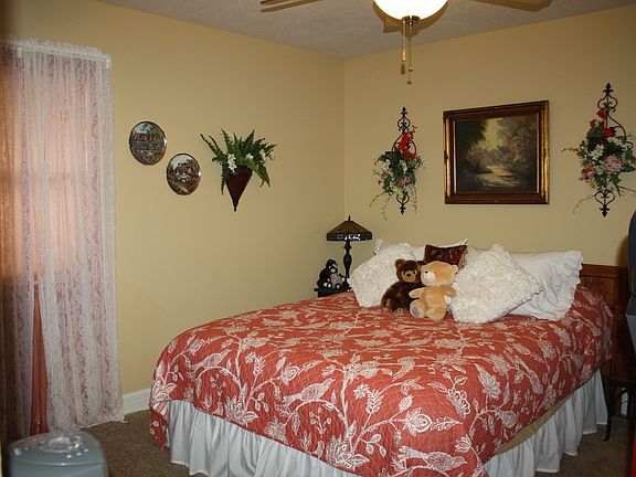 3rd image of 255 Swiss Mountain Dr