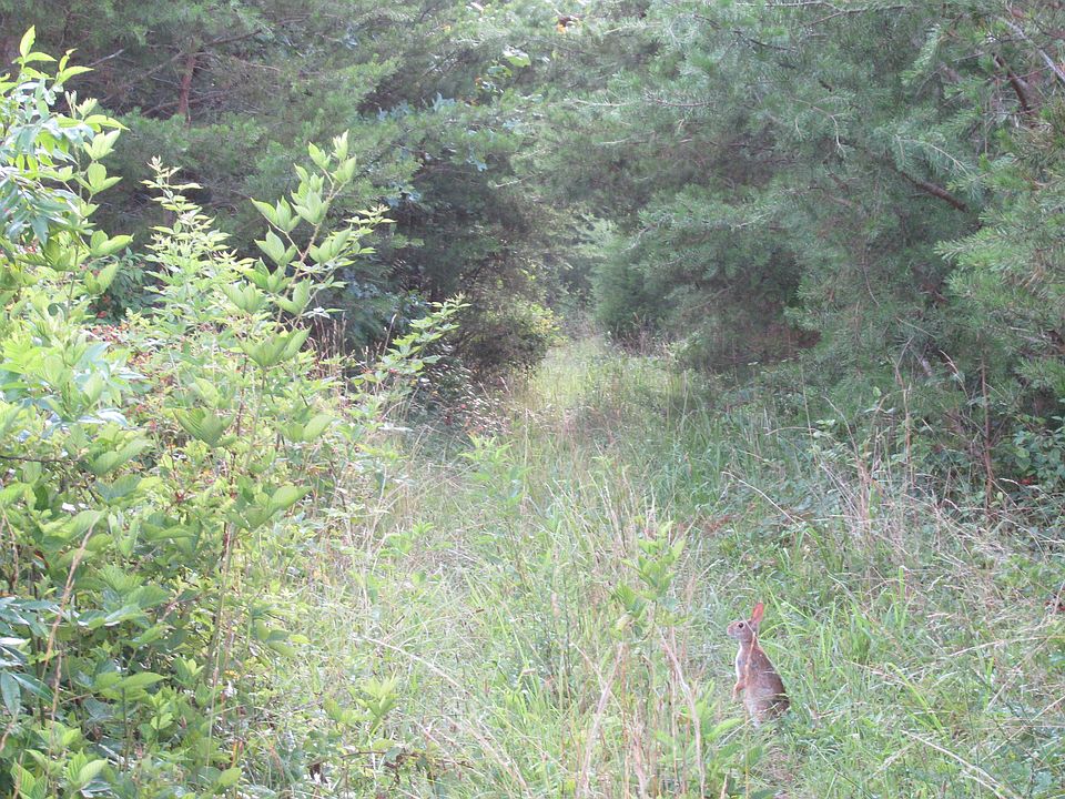 1st image of Pioneer Lane- Hawks Bluff
