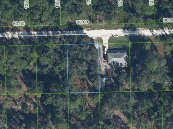 3230 Glen Springs Ave, Lake Placid, FL 33852