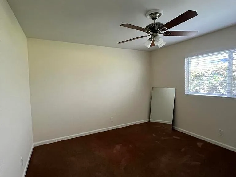645 Marion Pl #C — Photo 19
