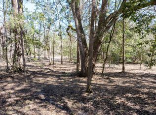 LOT 30 141st Rd, Mc Alpin, FL 32062