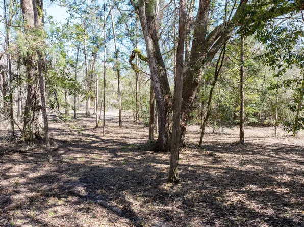LOT 30 141st Rd, Mc Alpin, FL 32062