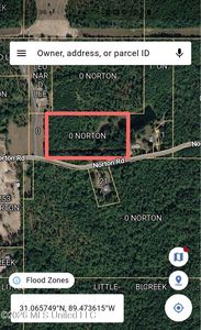 0 Norton Rd, Lumberton, MS, 39455