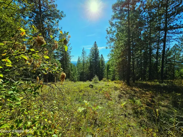 Nka Mean Moose Rd, Athol, ID 83801