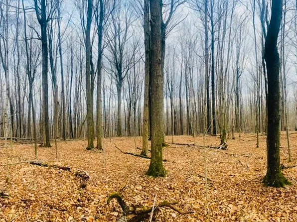 3850 Brady Hill Rd, Binghamton, NY 13903