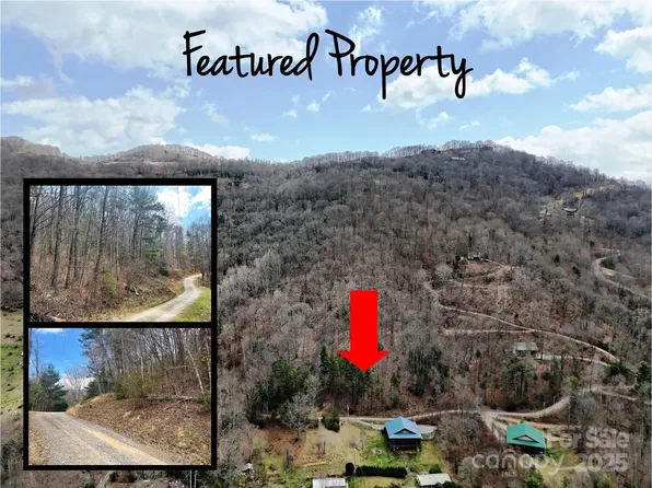 Moonbeam Ln #101 & 102, Clyde, NC 28721