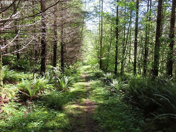 3rd image of Hockett Rd