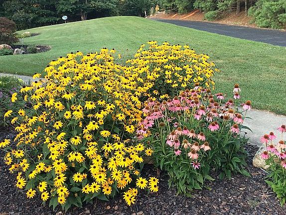 Looking down drive, privacy!