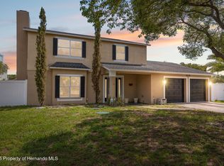 10091 Bannister St, Spring Hill, FL 34608