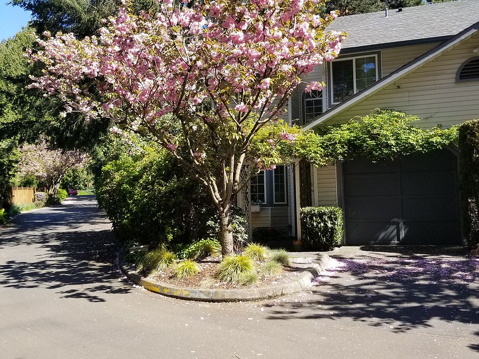1st image of 2801 NE 195th St APT 1