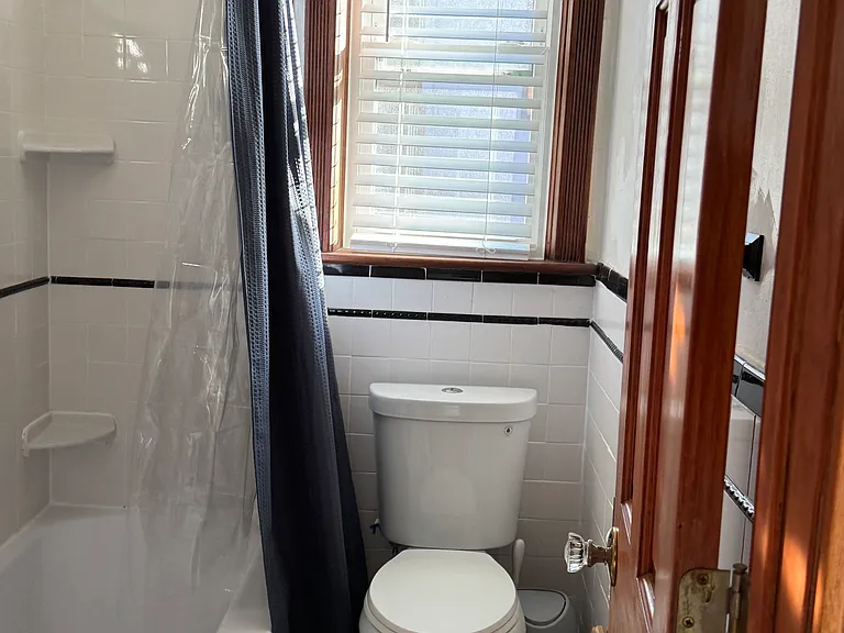 bathroom (entrance in hallway)