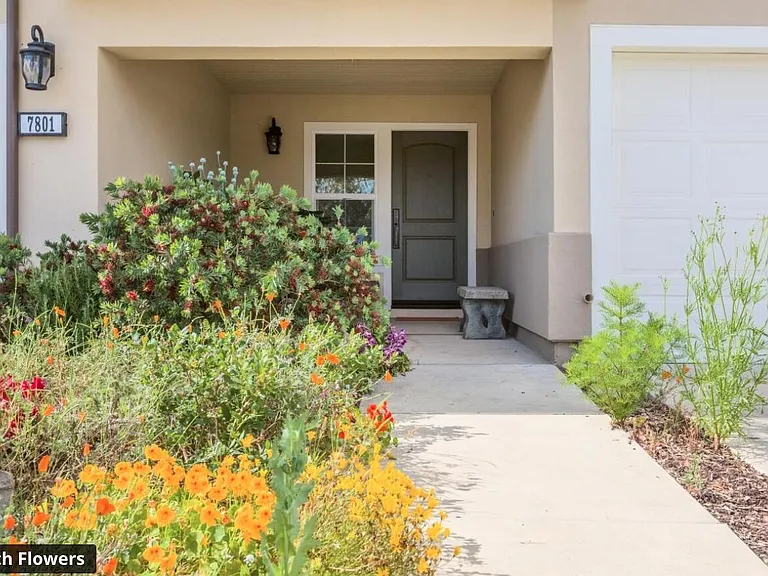 7801 Whimbrel Ln — Photo 5