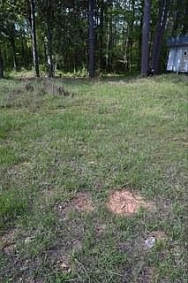 4th image of 9176 Chunchula Georgetown Rd Lot 2