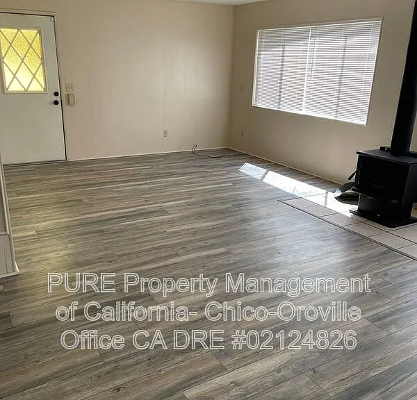 533 Silver Leaf Dr — Photo 4