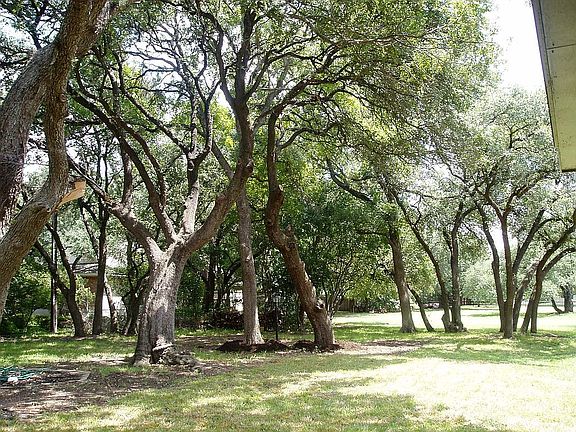 established treed .85ac lot