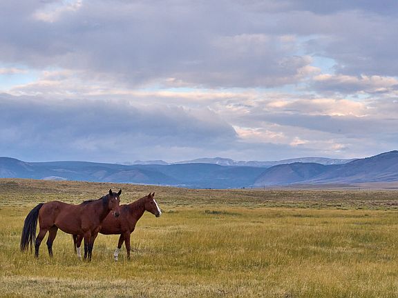 3rd image of Sheep Mountain Rd