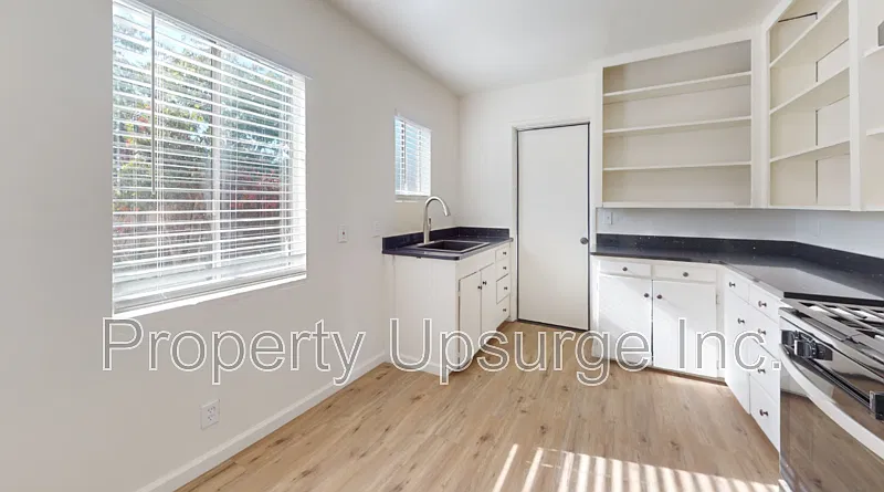 2 bed, 1.0 bath, 667 sqft, $1,250 — Photo 3