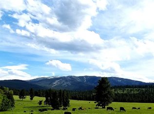 2261 S Mullan Trail Rd, Gold Creek, MT 59733
