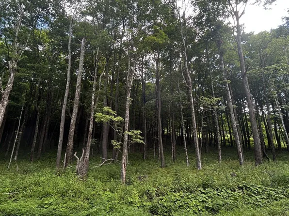 6181 Cass Rd, Slatyfork, WV 26291