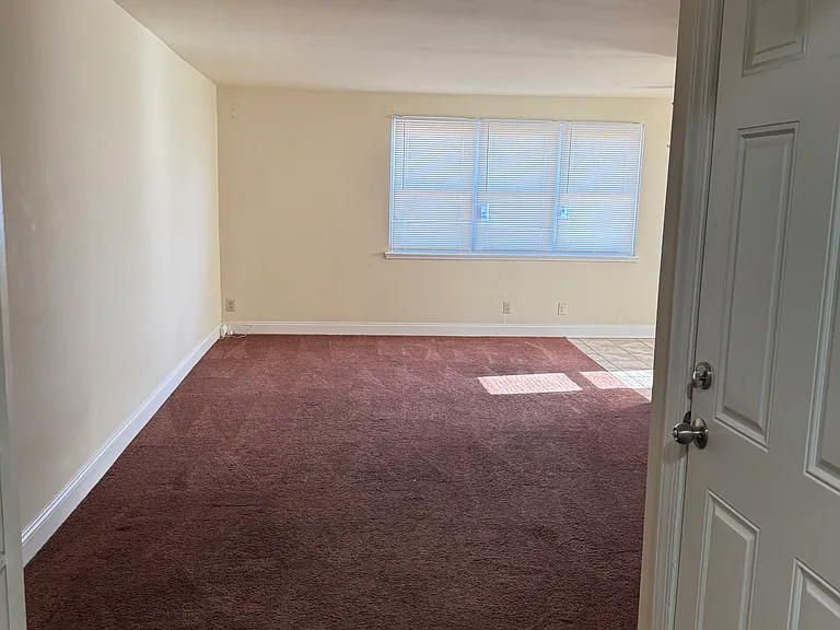 637 Hamilton St #B — Photo 3
