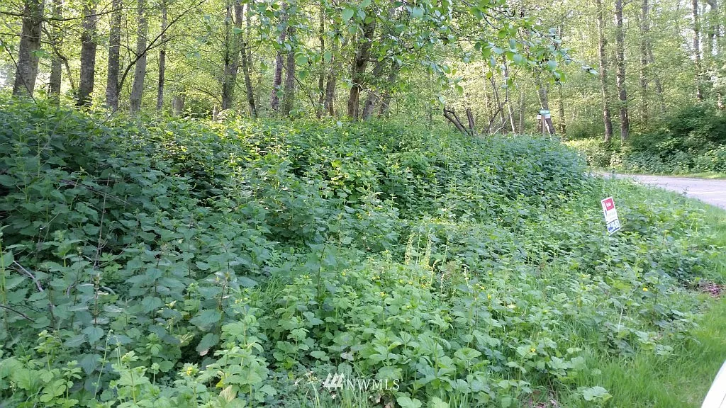 1 J Everett way photo 1