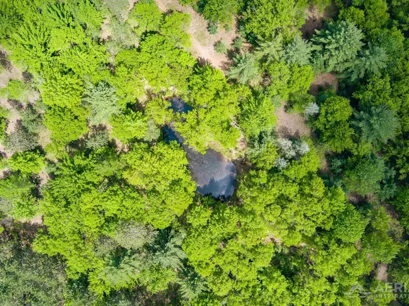0 E Sugar River Rd, Alger, MI 48610