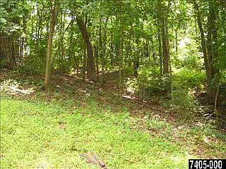 4th image of 115 Pine Creek Ln