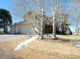 910 Ohlson Ridge Ct, Parker, CO 80138