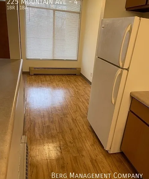 225 Mountain Ave #4 — Photo 2