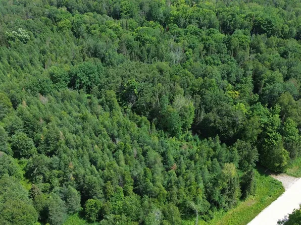 2002 N Merwin Creek Rd, Manistique, MI 49854