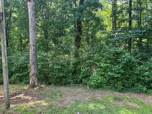 2799 Kristi Beth Ct #0 — Photo 11