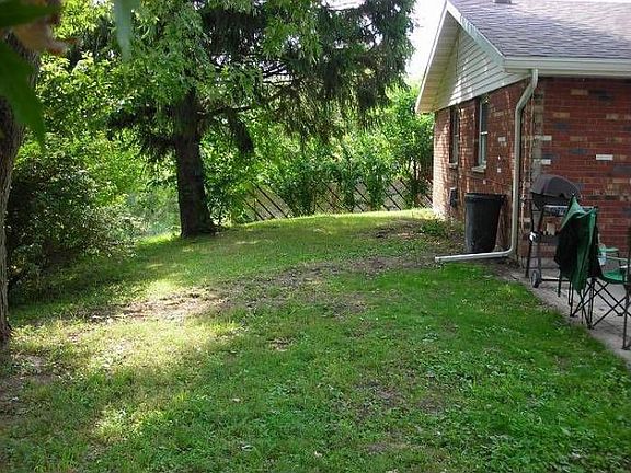 back yard